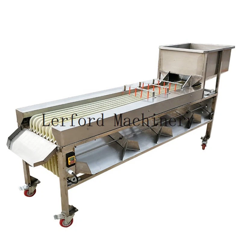 Transportador de classificació de fruites