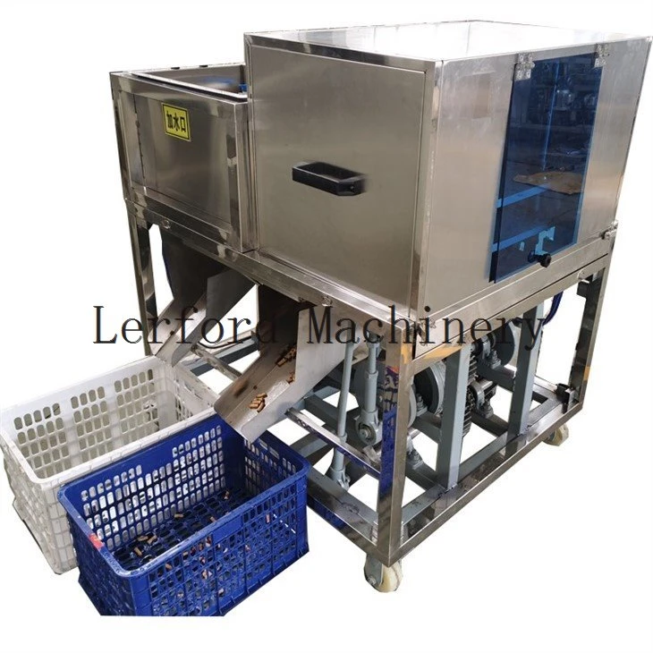date pitting machine