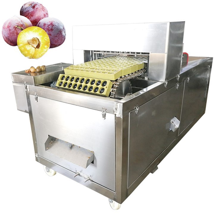 Automatic Olive Pitting Machine