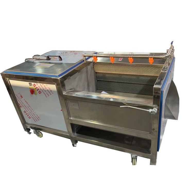 Electric Carrot Washer