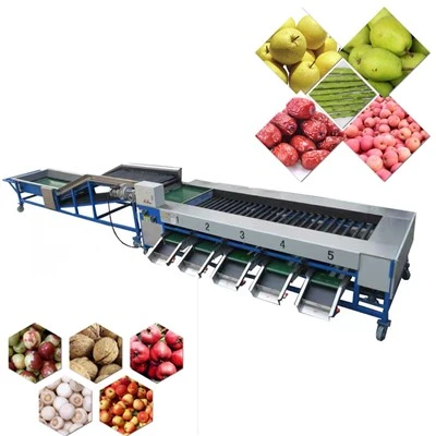 Màquina automàtica de classificació de fruites