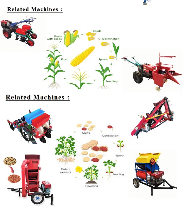 Agriculture tractores