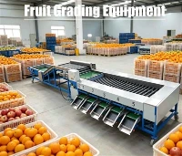 Equip de classificació de fruites